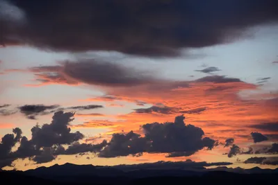 DSC_3325 (Large).JPG